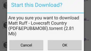 YouTorrents screenshot 6