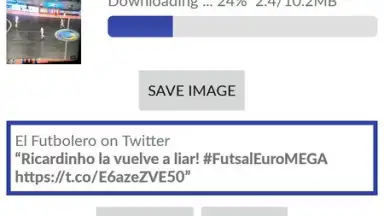 Video Downloader for Twitter screenshot 2
