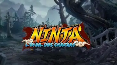Ninja screenshot 1