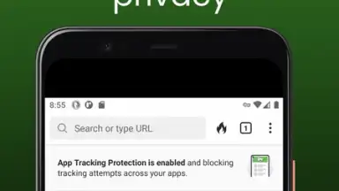 Midori Browser screenshot 2