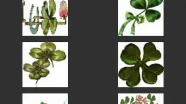 Greeting Cards screenshot 7