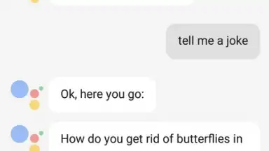 Google Assistant screenshot 3