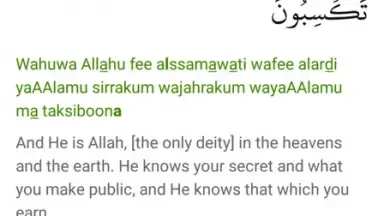 umma screenshot 5