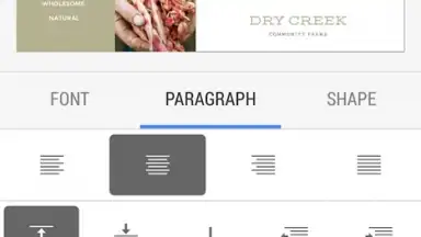 Google Slides screenshot 11