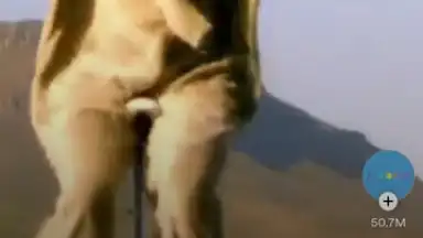 Spotify screenshot 30