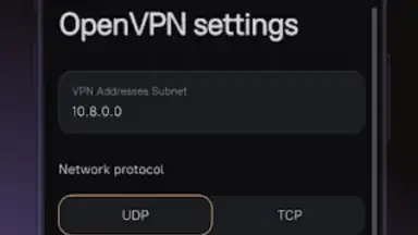 Amnezia VPN screenshot 2