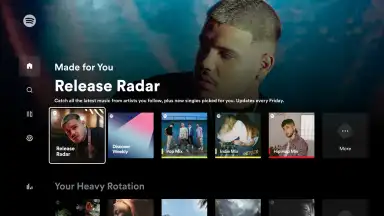 Spotify for Android TV screenshot 5