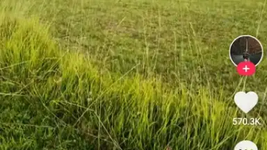 TikTok Lite screenshot 20