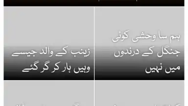 Pak Browser screenshot 1