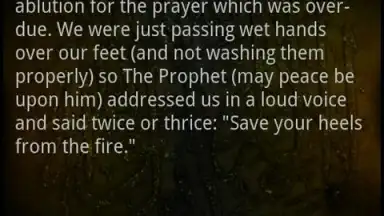 Sahih Al Bukhari screenshot 5