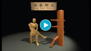 Wing Chun Trainer screenshot 1