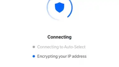 DeerShield - Free VPN screenshot 5