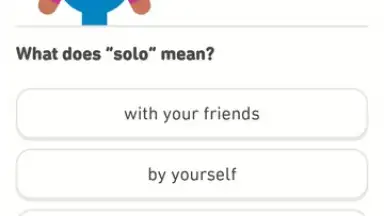 Duolingo screenshot 2