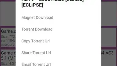 Laura Android's Best Torrent Search screenshot 2