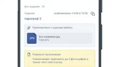 NetSchool screenshot 5