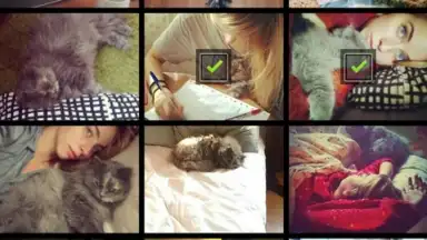 Photo Locker screenshot 2