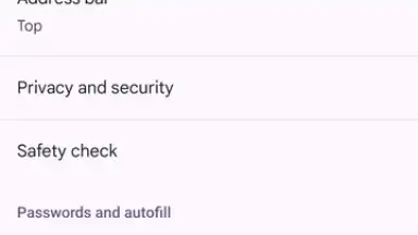 Chrome Beta screenshot 2