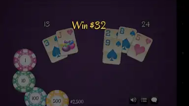 BlackJack 21 Pro screenshot 1