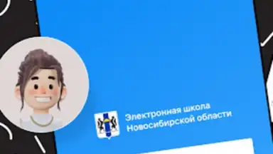 Дневник Новосибирской области screenshot 10