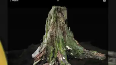 RealityScan - 3D Scanning App screenshot 13