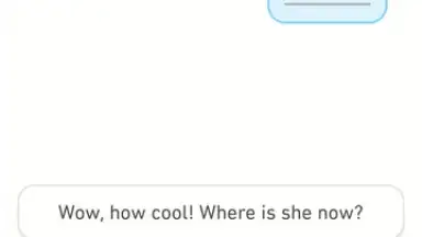 Duolingo screenshot 9