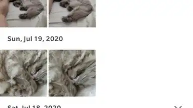 Google Photos screenshot 8