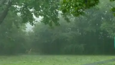 Relax Rain screenshot 1