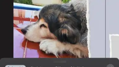 ProCCD screenshot 8