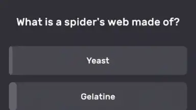 QuizzLand screenshot 2