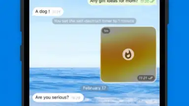 Potato chat screenshot 12