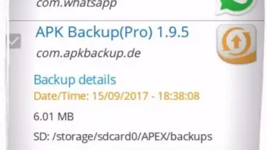 APK Backup(Pro) screenshot 2