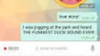 Hai screenshot 1
