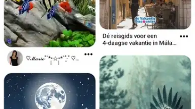Pinterest screenshot 1