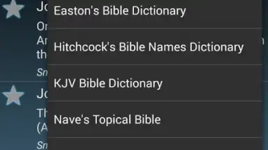 The Bible Dictionary screenshot 5