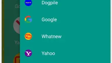 Google Search Alternatives screenshot 3