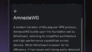 Amnezia VPN screenshot 4