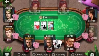 DH Texas Poker screenshot 5