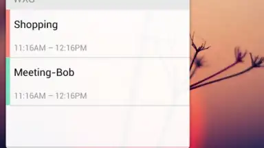 GO Calendar Widget screenshot 7