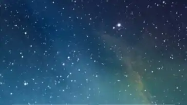 Call Screen screenshot 14