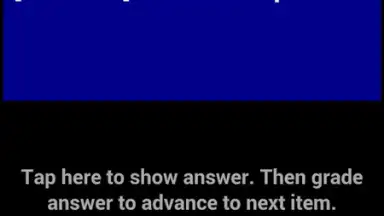 Spanish Verb Trainer screenshot 4