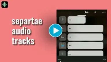 Splitter: Vocal Remover & More screenshot 1