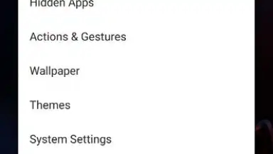 Apex Launcher screenshot 11