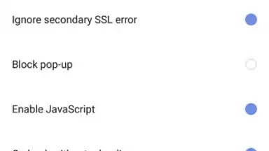 Via Browser screenshot 2