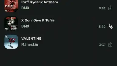 RiMusic screenshot 10