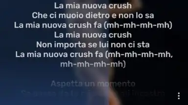 RiMusic screenshot 4