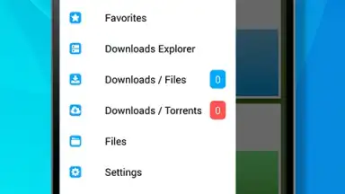 Free Download Manager screenshot 5