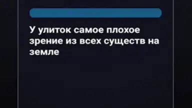 Правда или Ложь screenshot 5