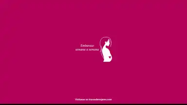 Semanas Embarazo screenshot 14