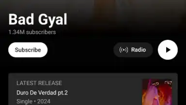 YouTube Music screenshot 1