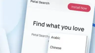 HUAWEI Petal Search screenshot 1